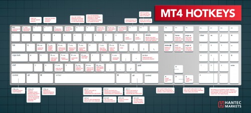 http://www.hantecfx.com/mt4-hotkeys-infographic