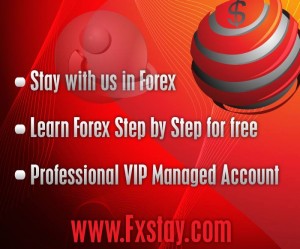 Fxstay forex managed